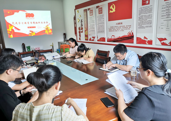 中欧网页版登录入口党支部召开党史学习教育专题组织生活会