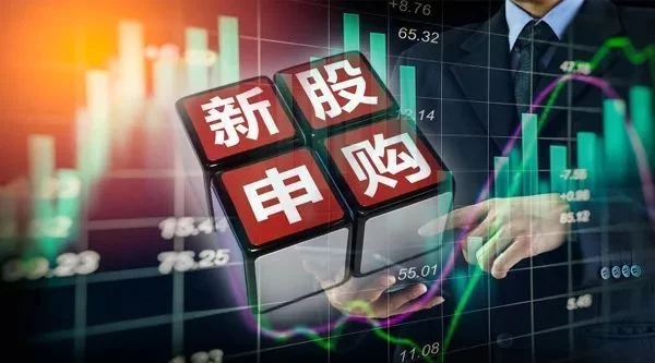 中欧网页版登录入口热烈庆祝天新药业上市新股申购