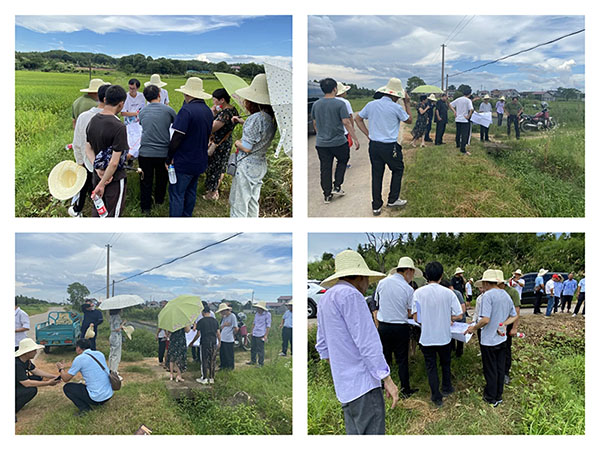 中欧网页版登录入口组织召开万安县2022年度统筹整合资金推进高标准农田建设项目初步设计的评审会