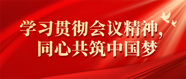 中欧网页版登录入口党支部开展学习党的二十大报告系列活动