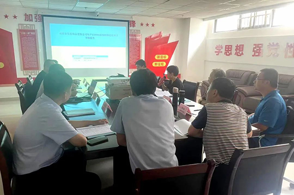 中欧网页版登录入口组织召开年产15000t玻璃胚珠建设项目节能报告评审会