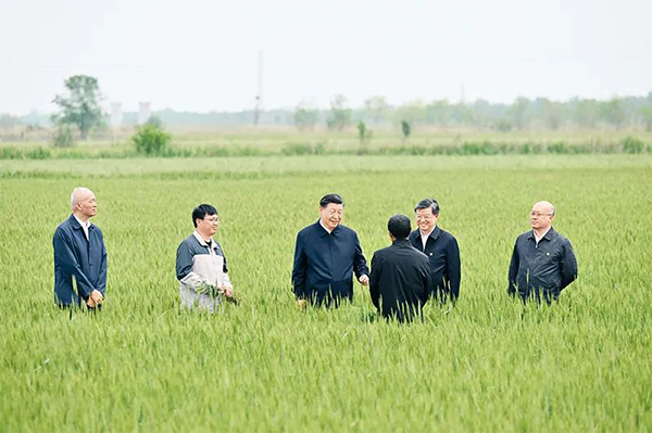 习近平:切实加强耕地保护 抓好盐碱地综合改造利用