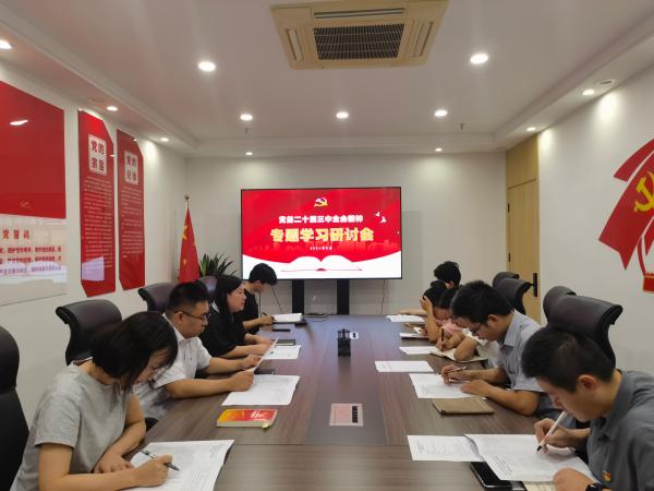 中欧网页版登录入口党支部召开党的二十届三中全会精神专题学习会